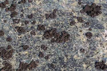 Similar image 2813588