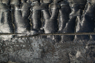 Similar image 2813593