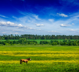 Similar image 2813621