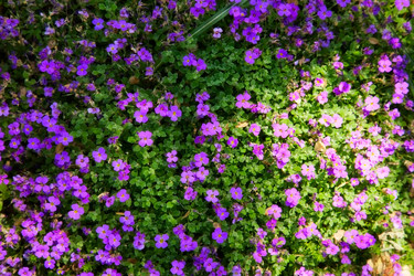 Similar image 2813635