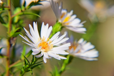 Similar image 2813636