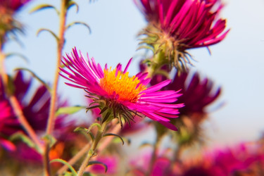 Similar image 2813637