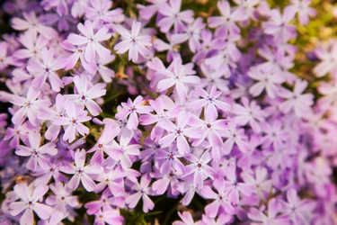 Similar image 2813638