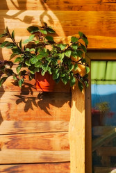 Similar image 2813644