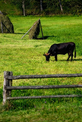 Similar image 2813657