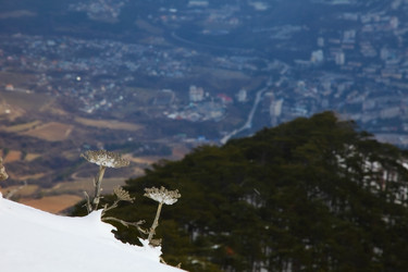 Similar image 2813685