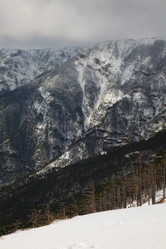 Similar image 2813686