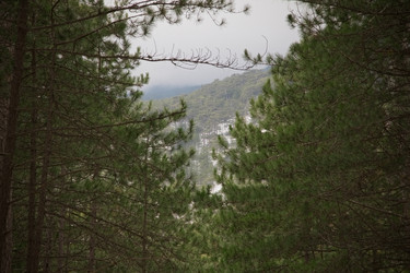 Similar image 2813689