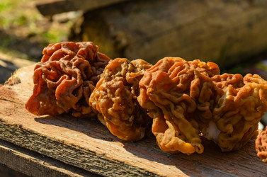 Similar image 2813838