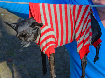 Similar image 2813839