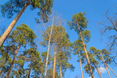 Similar image 2813841