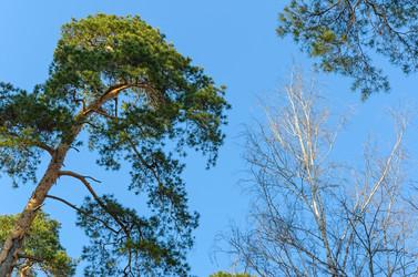 Similar image 2813842