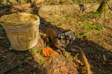 Similar image 2813844