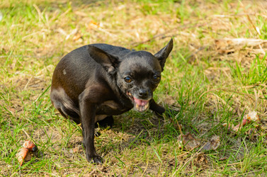 Similar image 2813847