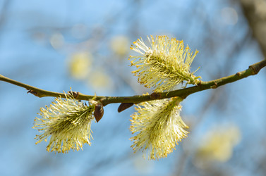 Similar image 2813848