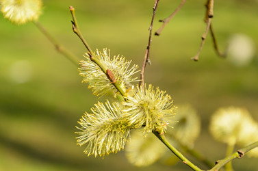 Similar image 2813849