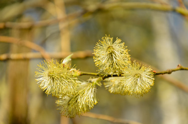 Similar image 2813850