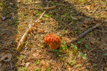 Similar image 2813851