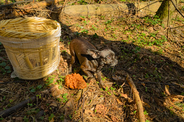 Similar image 2813852