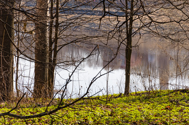 Similar image 2813853