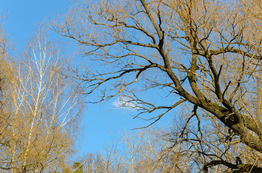 Similar image 2813870