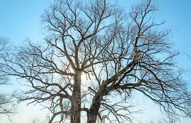 Similar image 2813871