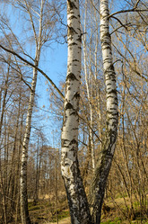 Similar image 2813873