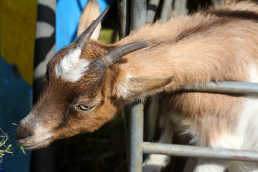 Similar image 2813874