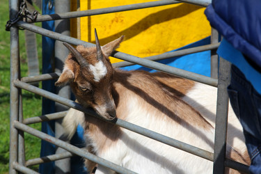 Similar image 2813875