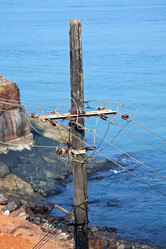 Similar image 2815358