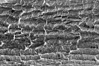 Similar image 2815686