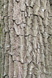 Similar image 2815687