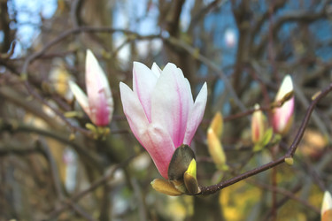 Similar image 2815695