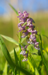 Similar image 2815702