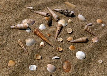 Similar image 2815726