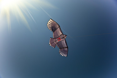 Similar image 2815727