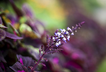 Similar image 2815730