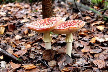 Similar image 2815795