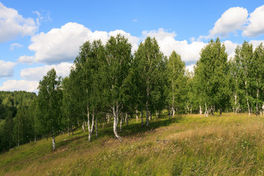 Similar image 2815797