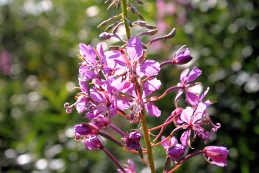 Similar image 2815798