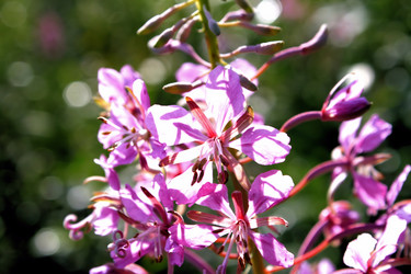 Similar image 2815799