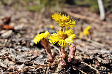 Similar image 2815800