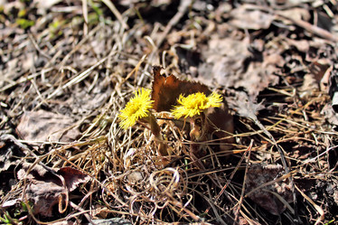 Similar image 2815801