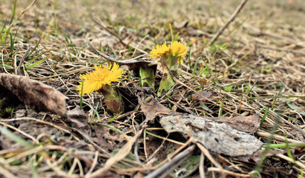 Similar image 2815802