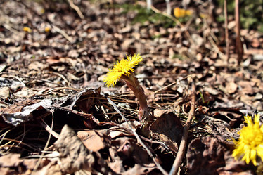 Similar image 2815803