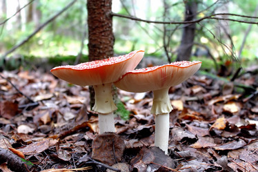 Similar image 2815804