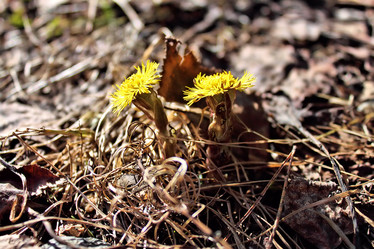 Similar image 2815805