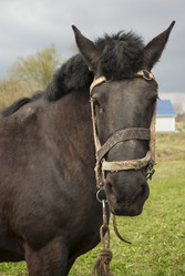 Similar image 2815814