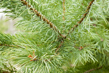 Similar image 2815816