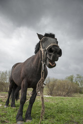 Similar image 2815823